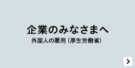 企業のみなさまへ 外国人の雇用（厚生労働省）